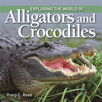 Exploring the World of Alligators and Crocodiles 