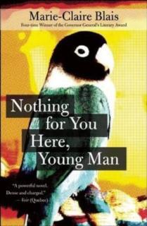 Nothing For You Here, Young Man 