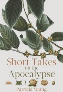 Short Takes on the Apocalypse 