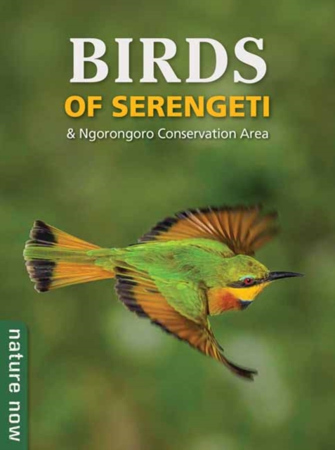 Birds of Serengeti & Ngorongoro Conservation Area 