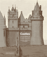 Castles A visual history of fortified