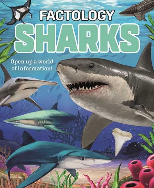 Factology: Sharks Open Up a World of Information!