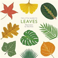 Little Guide to Leaves 