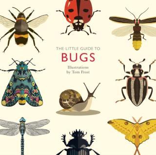 Little Guide to Bugs 