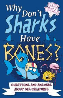 Why Don't Sharks Have Bones? Questions and Answers About Sea Creatures