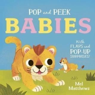 Pop and Peek: Babies With flaps and pop-up surprises!