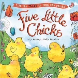 Five Little Chicks Lift the flaps to find the chicks