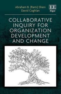 Collaborative Inquiry for Organization Development and Change 