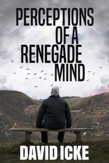 Perceptions Of A Renegade Mind 
