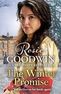 Winter Promise A perfect cosy Victorian saga from the Sunday Times bestselling author