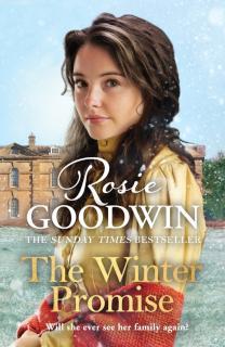 Winter Promise A perfect cosy Victorian saga from the Sunday Times bestselling author
