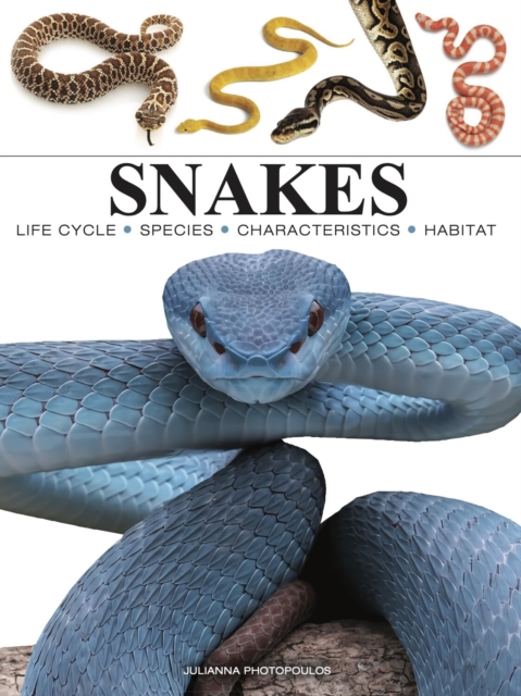 Snakes 