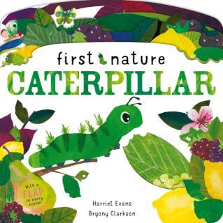 Caterpillar 
