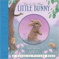 Time To Go Home Little Bunny 