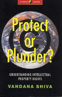 Protect or Plunder? Understanding Intellectual Pro