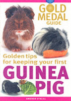 Guinea Pig Gold Medal Guide