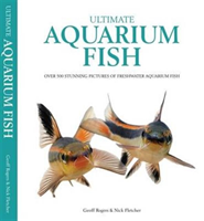 Ultimate Aquarium Fish Over 500 Stunning Pictures of Freshwater Aquarium Fish