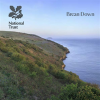 Brean Down 