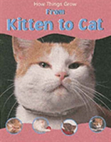 How Things Grow from Kitten to Cat 