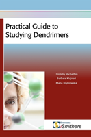 Practical Guide to Studying Dendrimers 