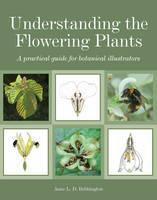 Understanding the Flowering Plants A Practical Guide for Botanical Illustrators