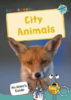 City Animals (Turquoise Non-fiction Early Reader)