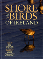 Shorebirds of Ireland 