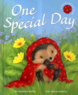 One Special Day 