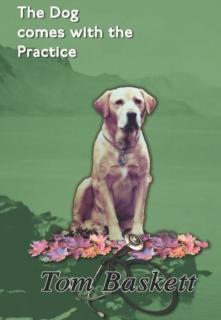 Dog Comes With The Practice Tales of a Junior Doctor in Ir