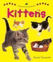 Say and Point Picture Boards: Kittens 