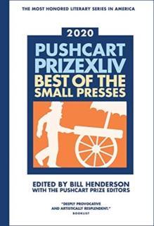 Pushcart Prize XLlV Best of the Small Presses 2020 Edition