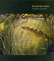 Beneath the Surface 