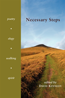 Necessary Steps Poetry, Elegy, Walking, Spirit