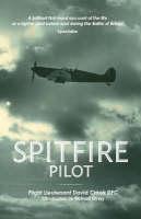 Spitfire Pilot 
