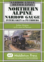 Northern Alpine Narrow Gauge Interlaken to Pubhberg