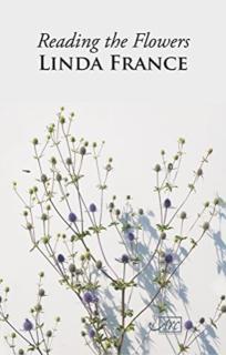 Reading the Flowers Hb 