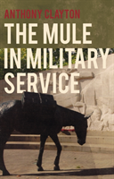Mule in Military Service 