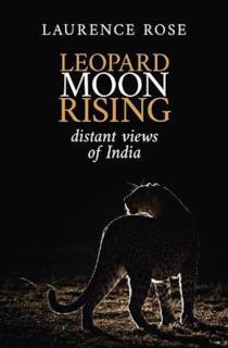 Leopard Moon Rising Distant views of India