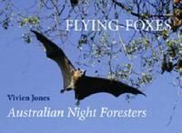 Flying Foxes Australian Night Foresters