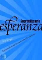 Sorprendidos Por La Esperanza Repensando El Cielo, La Resurr