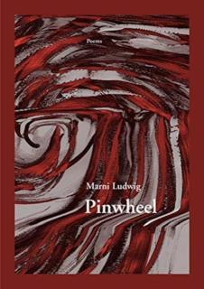 Pinwheel 