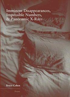 Imminent Disappearance, Impossible Numbers, & Panoramic X-Rays 