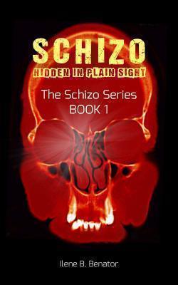 Schizo Hidden in Plain Sight