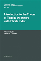 Introduction to the Theory of Toeplitz Operators with Infinite Index 