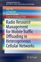 Radio Resource Management for Mobile Traffic Offloading in Heterogeneous Cellular Networks 