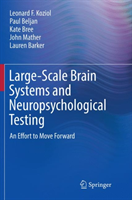 Large-Scale Brain Systems and Neuropsychological Testing An Effort to Move Forward