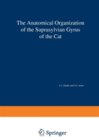 Anatomical Organization of the Suprasylvian Gyrus of the Cat 