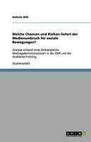 Welche Chancen Und Risiken Liefert Der Medienumbruch Fur Soziale Bewegungen? 