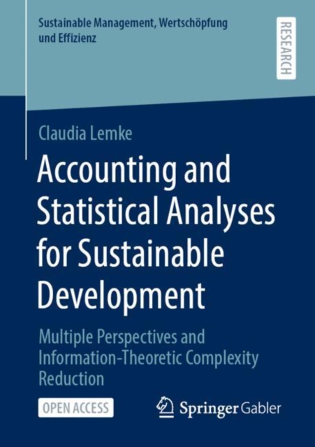 Accounting and Statistical Analyses for Sustainable Development Multiple Perspectives and Information-Theoretic Complexity Reduction