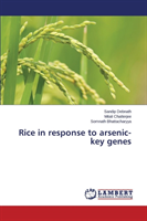 Rice in Response to Arsenic-Key Genes 